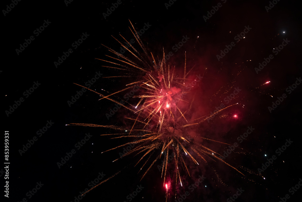 Fototapeta premium Fireworks blooming in the night sky