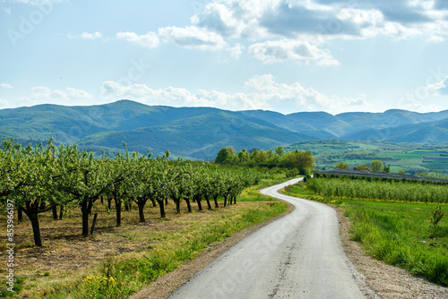 farmlands road in Serbia countryside