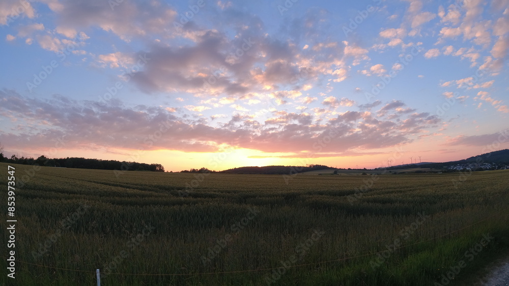 Fototapeta premium Plants, flower fields and animals in Hesse