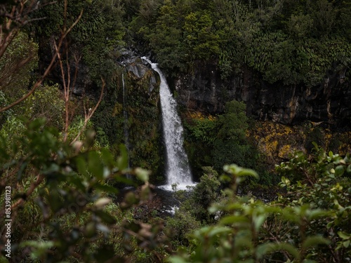 Nature landscape view of Dawson Falls Te Rere O Kapuni waterfall lush green bush at Mount Taranaki New Zealand
