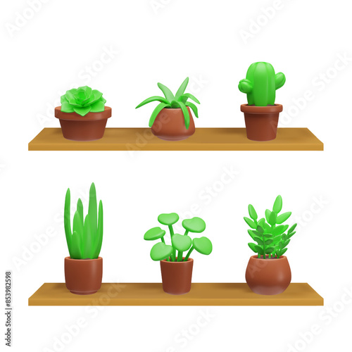 Green succulent plant in brown flowerpots on wooden shelf 3D vector, Aloe, Cactus, Crassula, Agave, Kalanchoe Echeveria