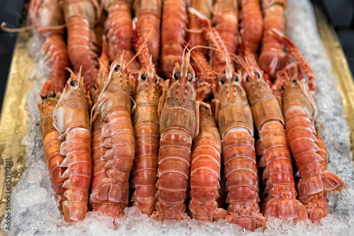 Quadro em tela Fresh langoustine or scampi