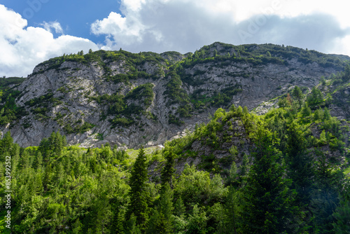 green nature