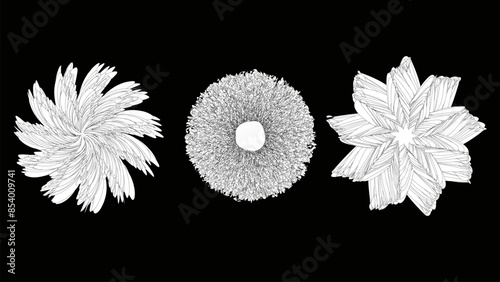 Flower coloring page