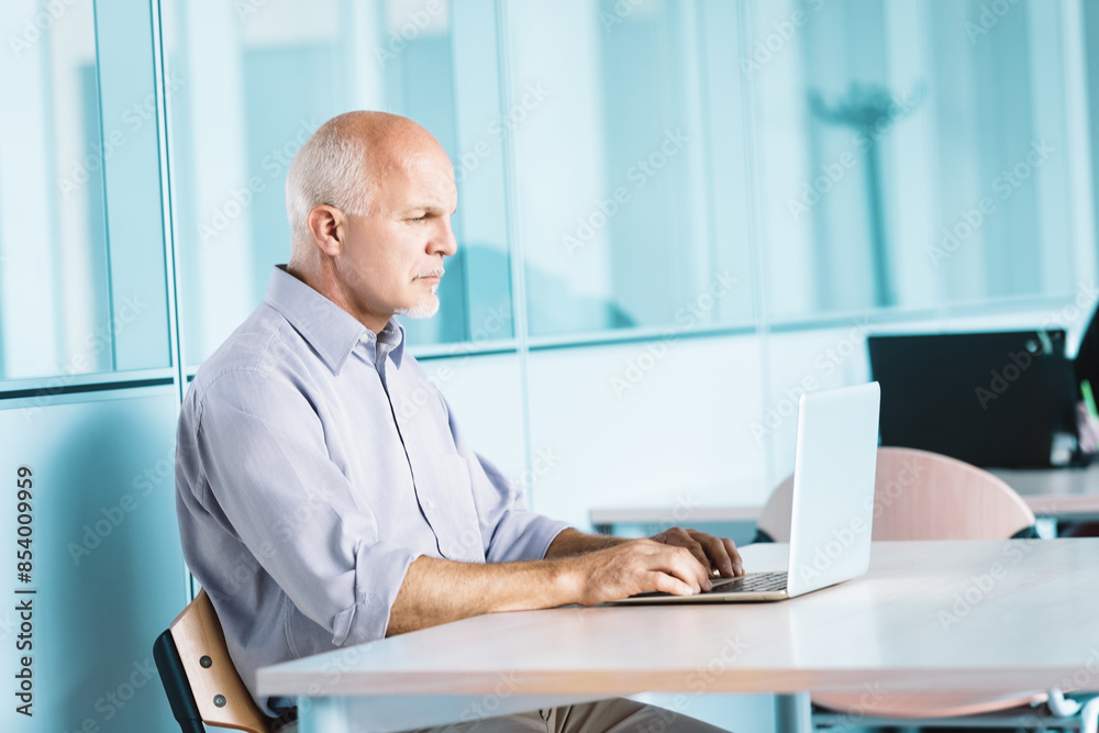 Senior manager working on laptop in modern office Senior manager working on laptop in modern office