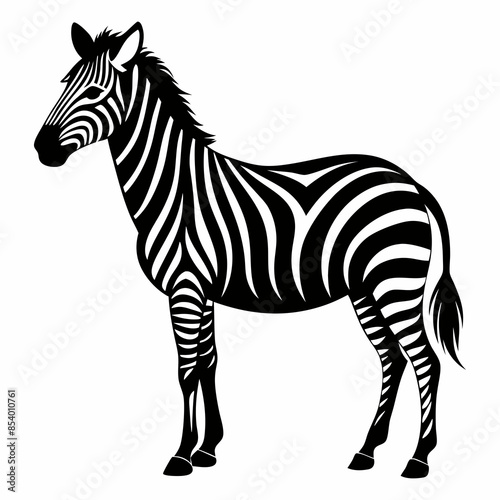 zebra vector illustration