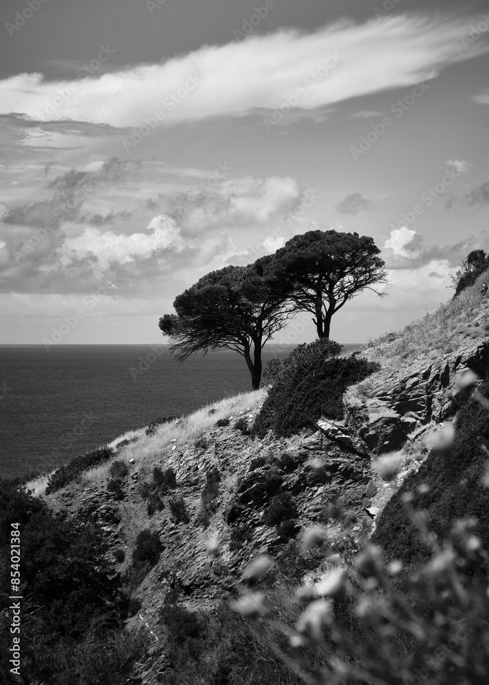 Foto scattata lungo la strada che connette Marina di Campo a Pomonte.