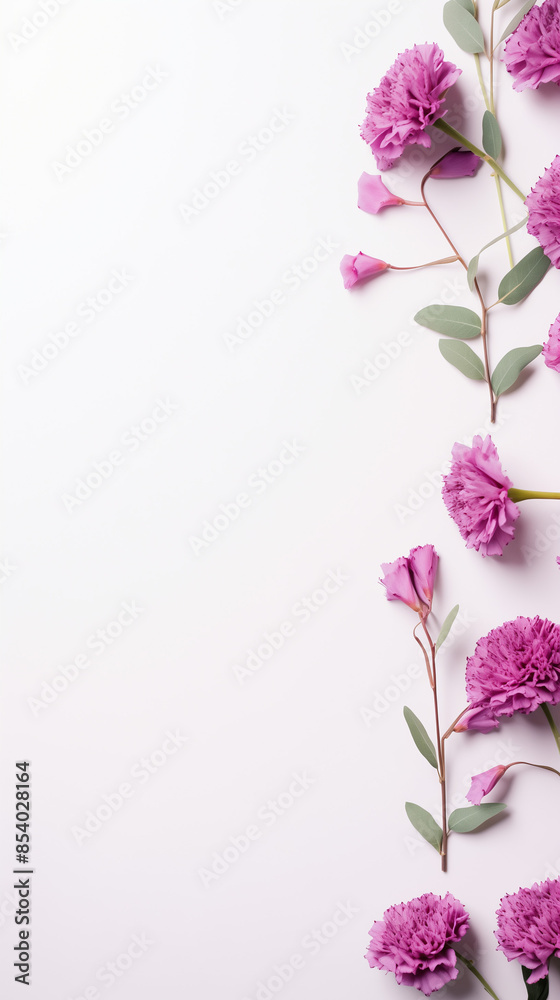 Naklejka premium Pink rose flovers in frame on white background.
