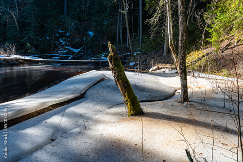 small, wild river in spring, calm river flow, ice and snow on the banks of the river, Strikupe, Vaidava, Latvia photo