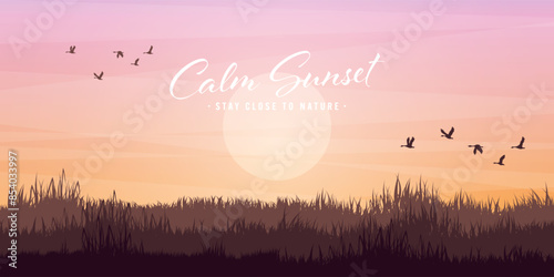 Meadow silhouettes with grass. Countryside, panoramic summer lawn rural landscape with herbs, weeds. Agriculture and farming. Summer sunset in nature, wildlife. Vector illustration