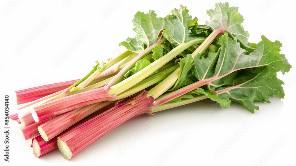 Vibrant Stalks of Handpicked Fresh Rhubarb Fruit in Natural Light - Organic Produce Harvest Concept Vibrant Stalks of Handpicked Fresh Rhubarb Fruit in Natural Light - Organic Produce Harvest Concept
