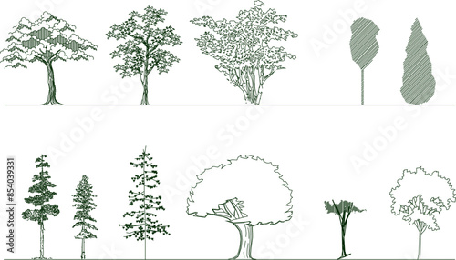 Vector silhouette illustration sketch, detailed image of a unique abstract tree plant design for completeness of the image