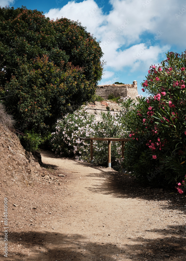 Naklejka premium Foto scattata lungo il sentiero che collega Porto Azzurro alla famosa Spiaggia del Barbarossa.