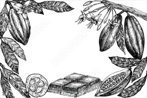 frame with cocoa fruit and chocolate graphic vector illustration, hand drawn sketch of vegetable, leaves. Botanical drawing of tropical fruit. Engraving for food packaging design. Plant sketch