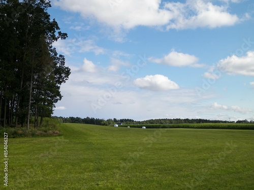 Harvest bales on a green field. End of the summer.