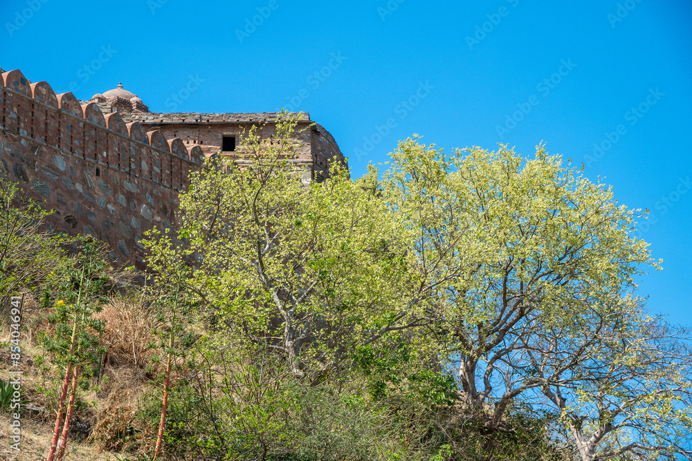 Fototapeta premium A beautiful Kumbhalgarh Fort stands on a hill with a pink flower in the foreground