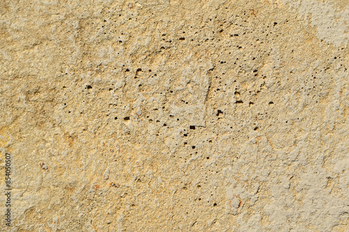 Shell rock background