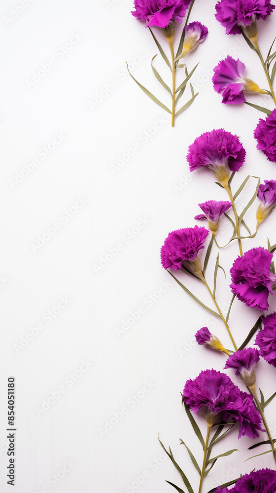 Fototapeta premium Frame of purple flowers on white background. Copy space.