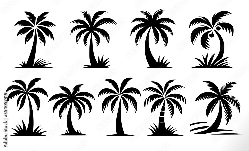 Tropical palm trees vector collection. palm or coconut trees set on white.
Tropical palm trees vector collection. palm or coconut trees set on white.
