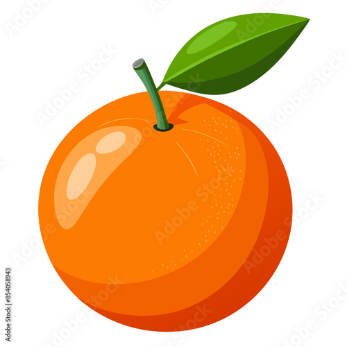 orange fruit vector illustration