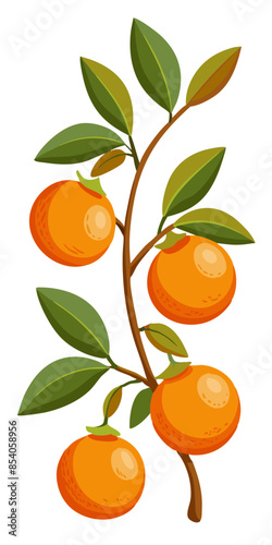 orange tree branch with oranges