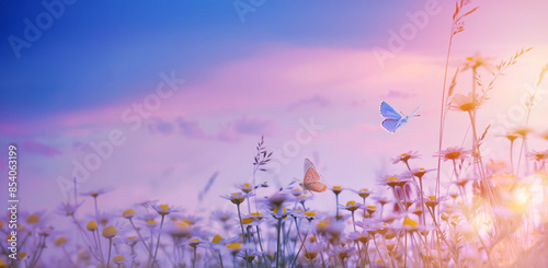 Fototapeta Naklejka Na Ścianę i Meble -  art summer floral nature background;  sunset over meadow