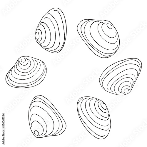 Foto minimalistic illustration of sea shellfish on transparent background