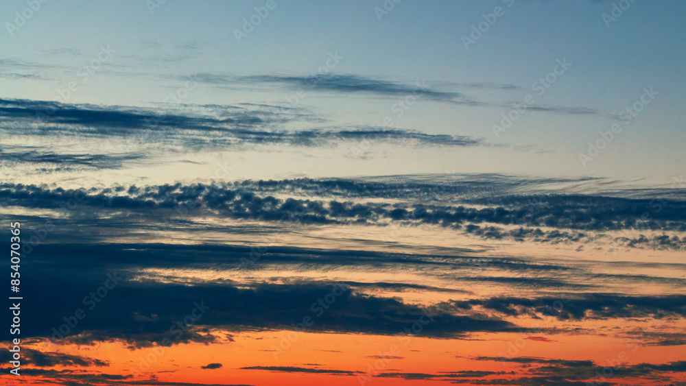 Fototapeta premium Summer sunrise or sunset on the field or forest. Summer landscape. Beautiful sky and color.