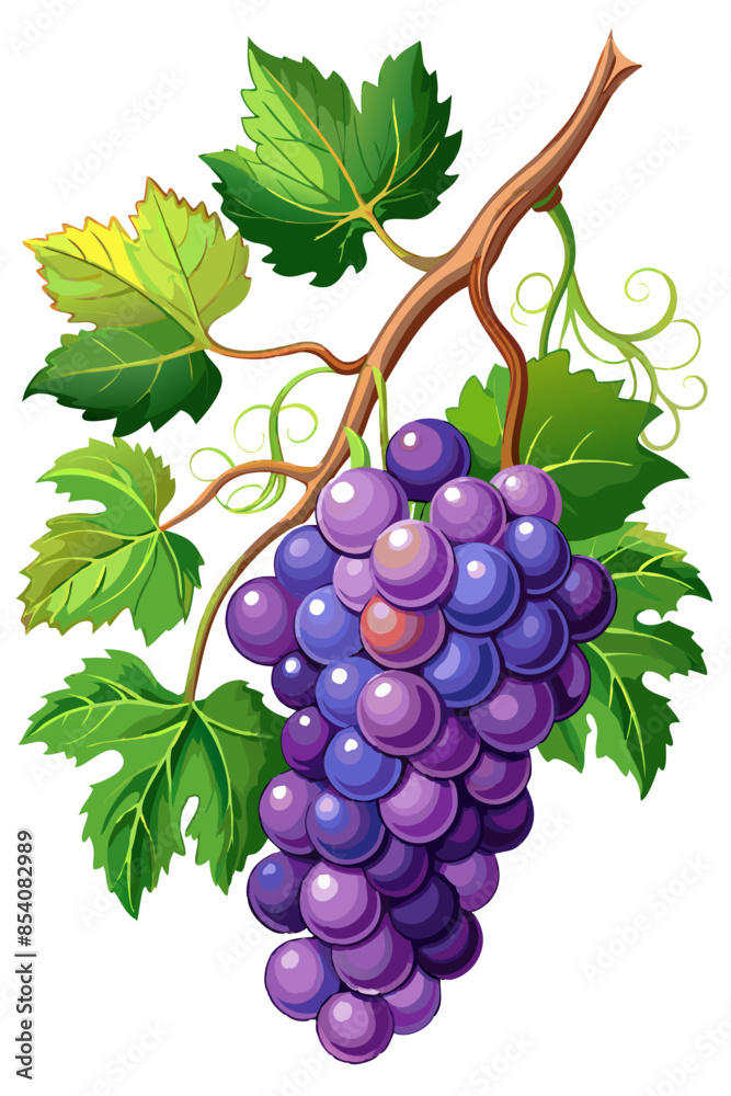 Obraz premium bunch of grapes with leaves