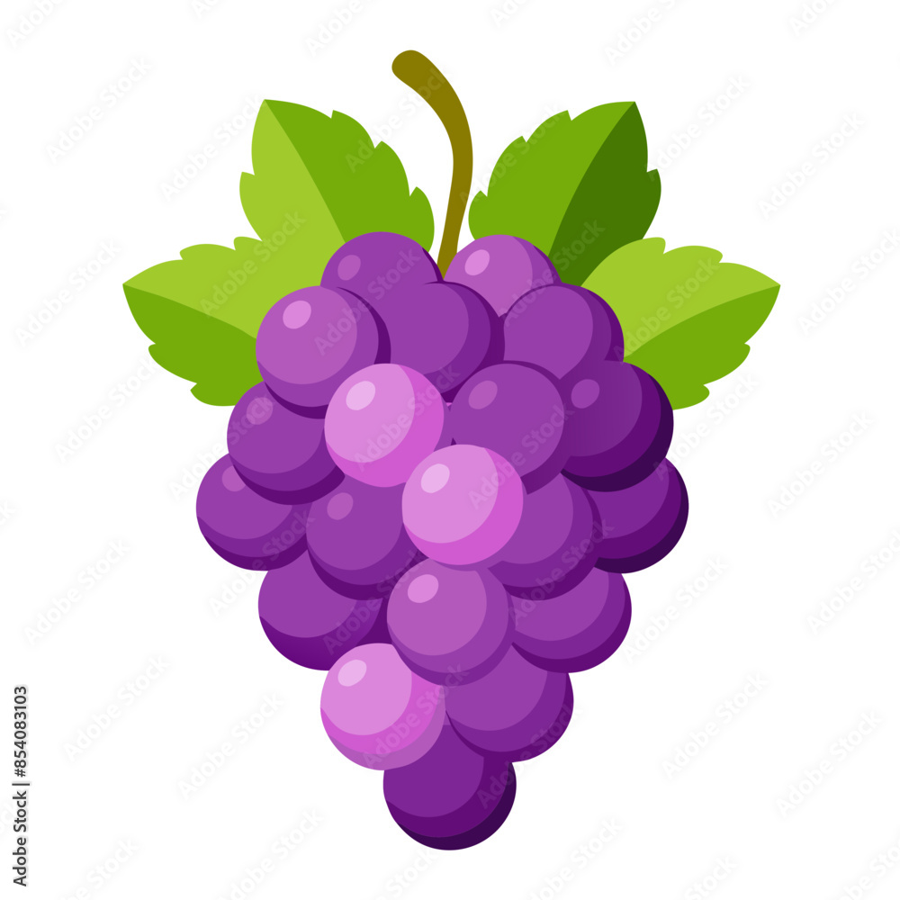 bunch of grapes isolated on white background bunch of grapes isolated on white background