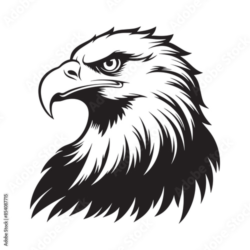 Eagle head on white background. Vector illustration