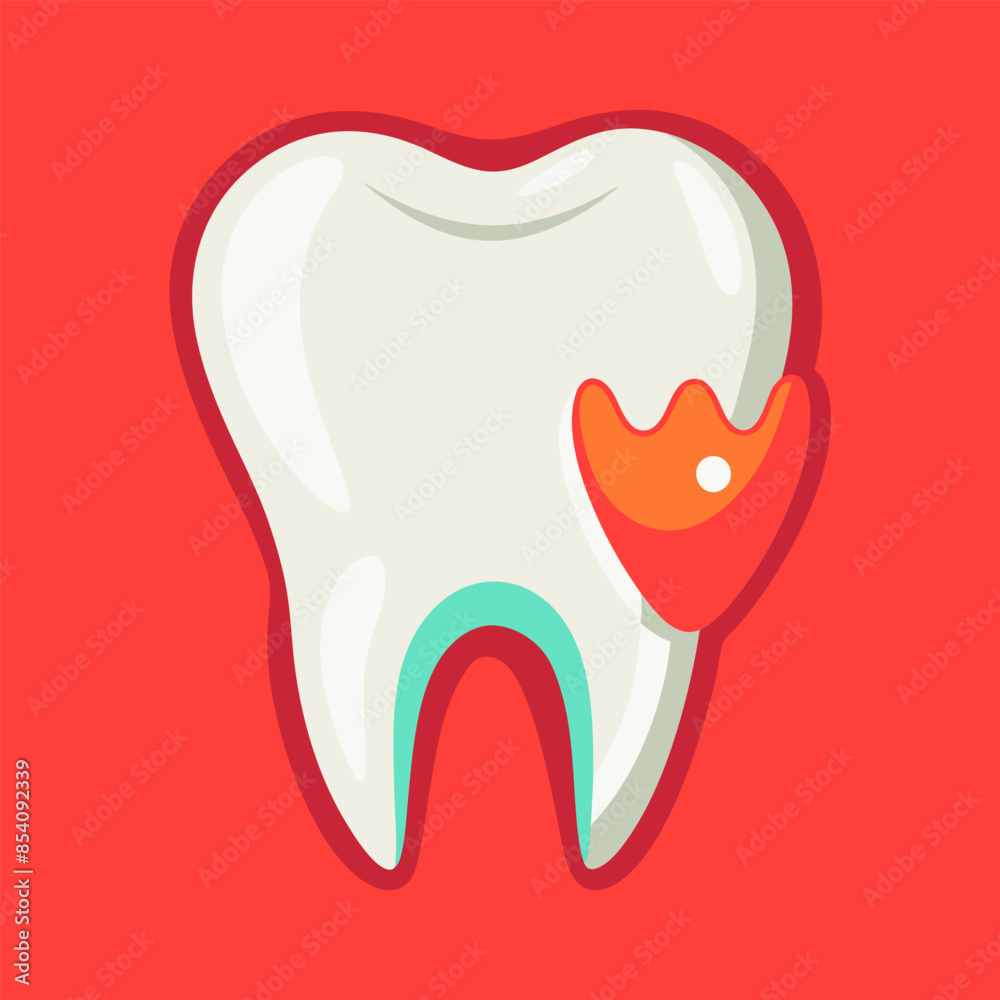 Learn the anatomy of the human tooth with this vector illustration.
