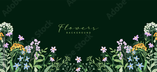 Floral border with pattern of meadow wildflowers and herbs. Cute nature background with small flowers. Botanical flat vector illustration on dark green background