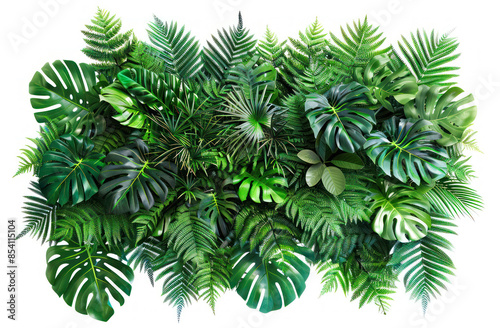 Exotic greens in lush arrangement