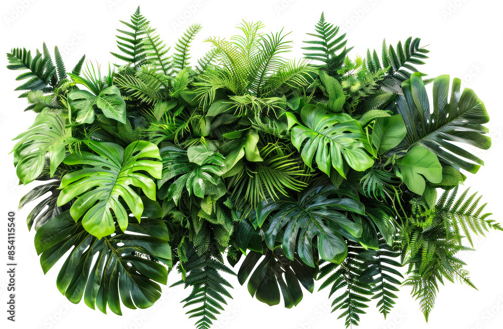 Vibrant tropical foliage with lush green leaves