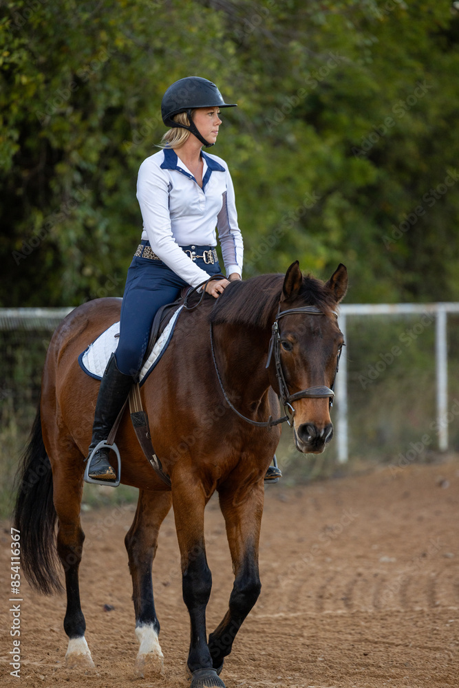 Women equestrian riding english bay horse Women equestrian riding english bay horse