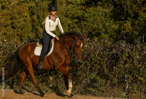 Women equestrian riding english bay horse