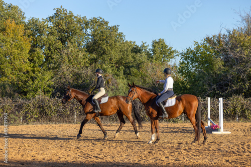 Horse trainer instructor equestrian student rider riding lessons