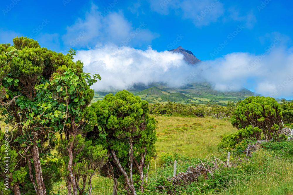 Green landscape with Pico mountain with clouds, Pico island in the Azores archipelago. Green landscape with Pico mountain with clouds, Pico island in the Azores archipelago.