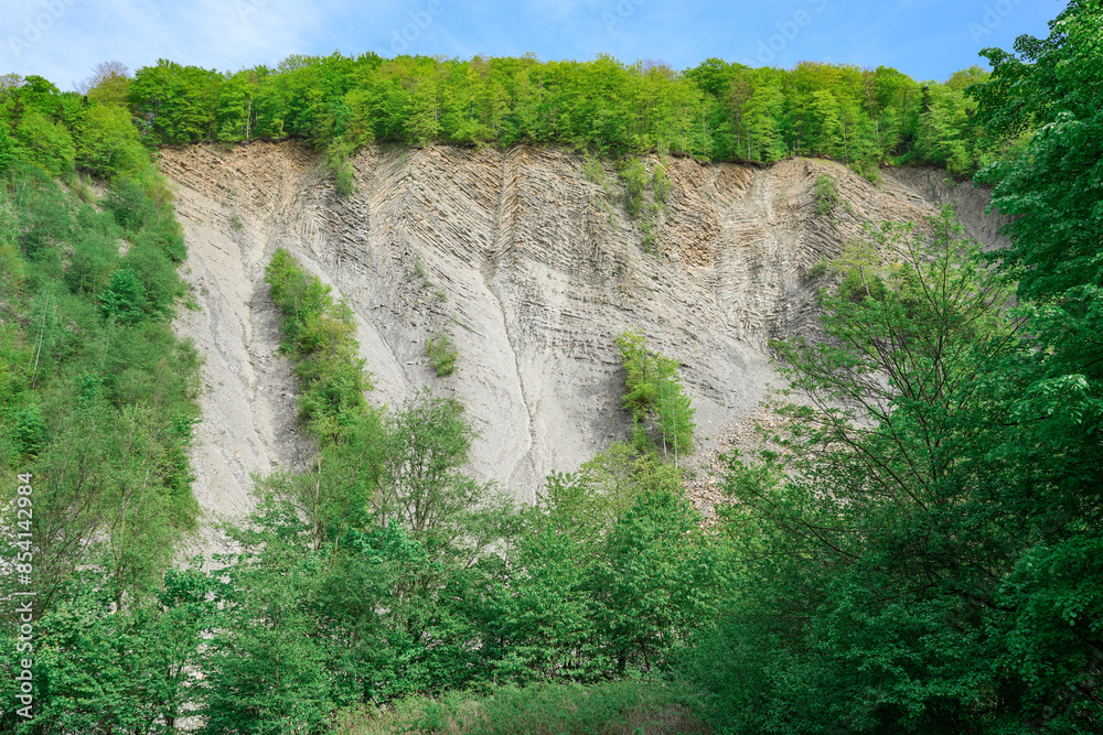 Fototapeta premium a view of the cliff in the forest