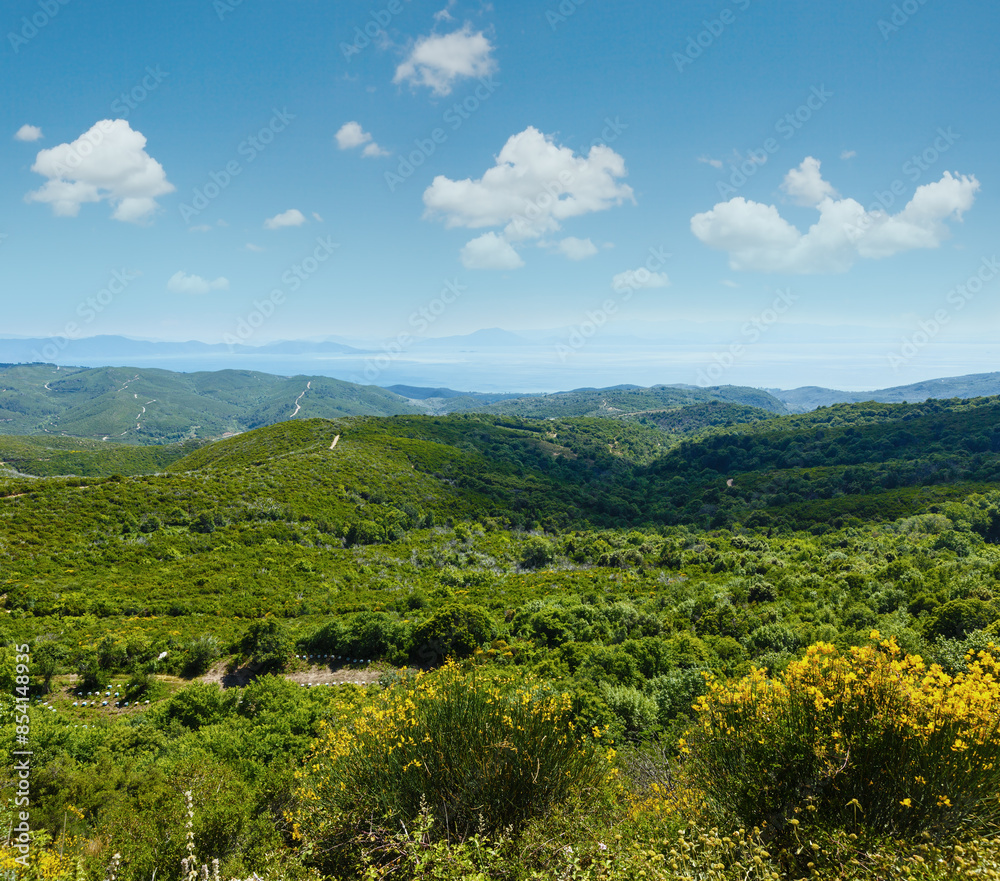 Obraz premium Summer view from top of the hill (Greece)