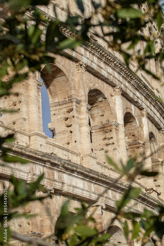 Obraz premium Framing Colosseum 