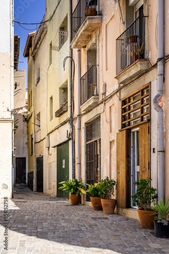 Fototapeta Naklejka Na Ścianę i Meble -  Picturesque Alleyway with Traditional Buildings and Decorative Plants. Badalona, Spain