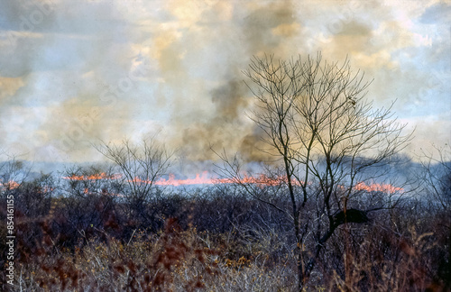 Brazilian Caatinga biome, being burned and deforested. Backlands of the State of Paraíba, Brazil, being devastated by fire. photo