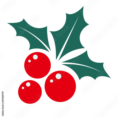 Holly berry Christmas icon. Vector illustration