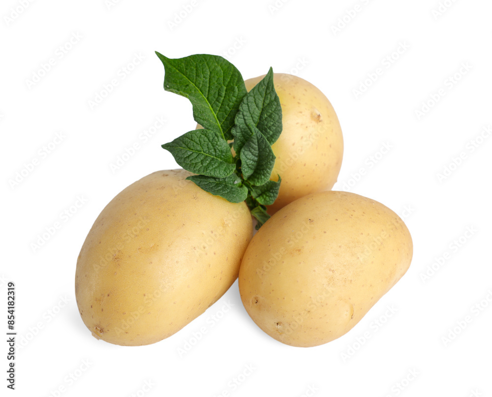 Fresh raw potatoes and green leaves isolated on white Fresh raw potatoes and green leaves isolated on white