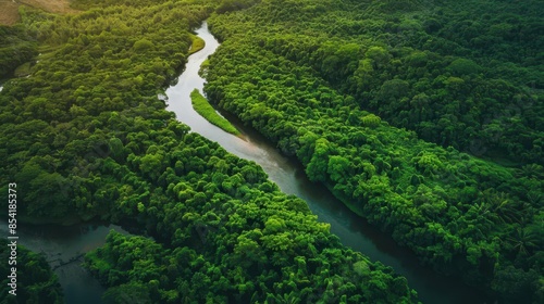 lush green forests and winding rivers from birds eye view aerial landscape photography