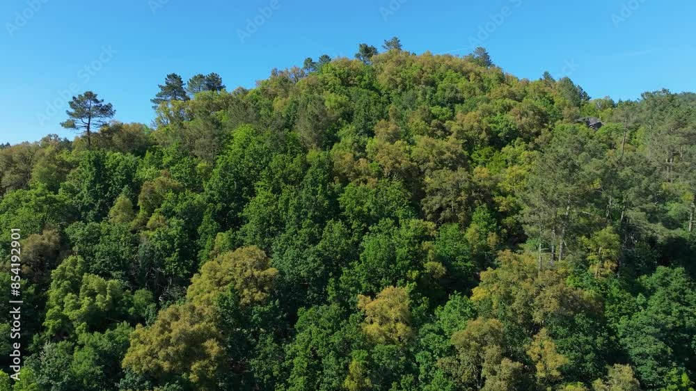 Forest mountains In Rio Avia Nature Park In Ribadavia, Ourense Province, Spain. Forest mountains In Rio Avia Nature Park In Ribadavia, Ourense Province, Spain.