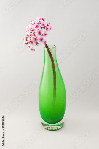 Pink Flowers in a Green Handmade Artisanal Glass Vase Decoration Living Room 
