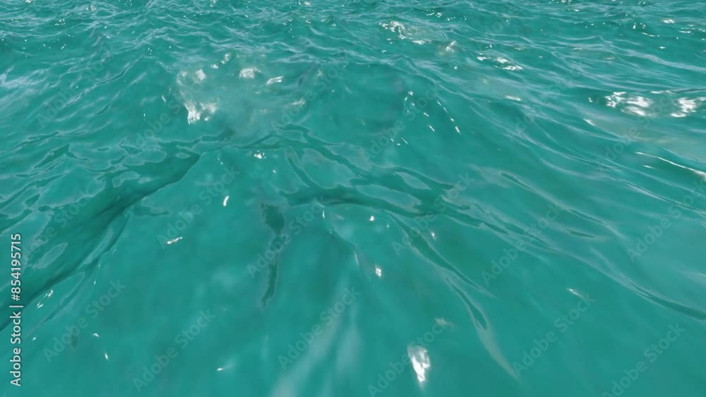 Ocean Deep Water Top-Deep Water Ocean Deep Water Top-Deep Water
